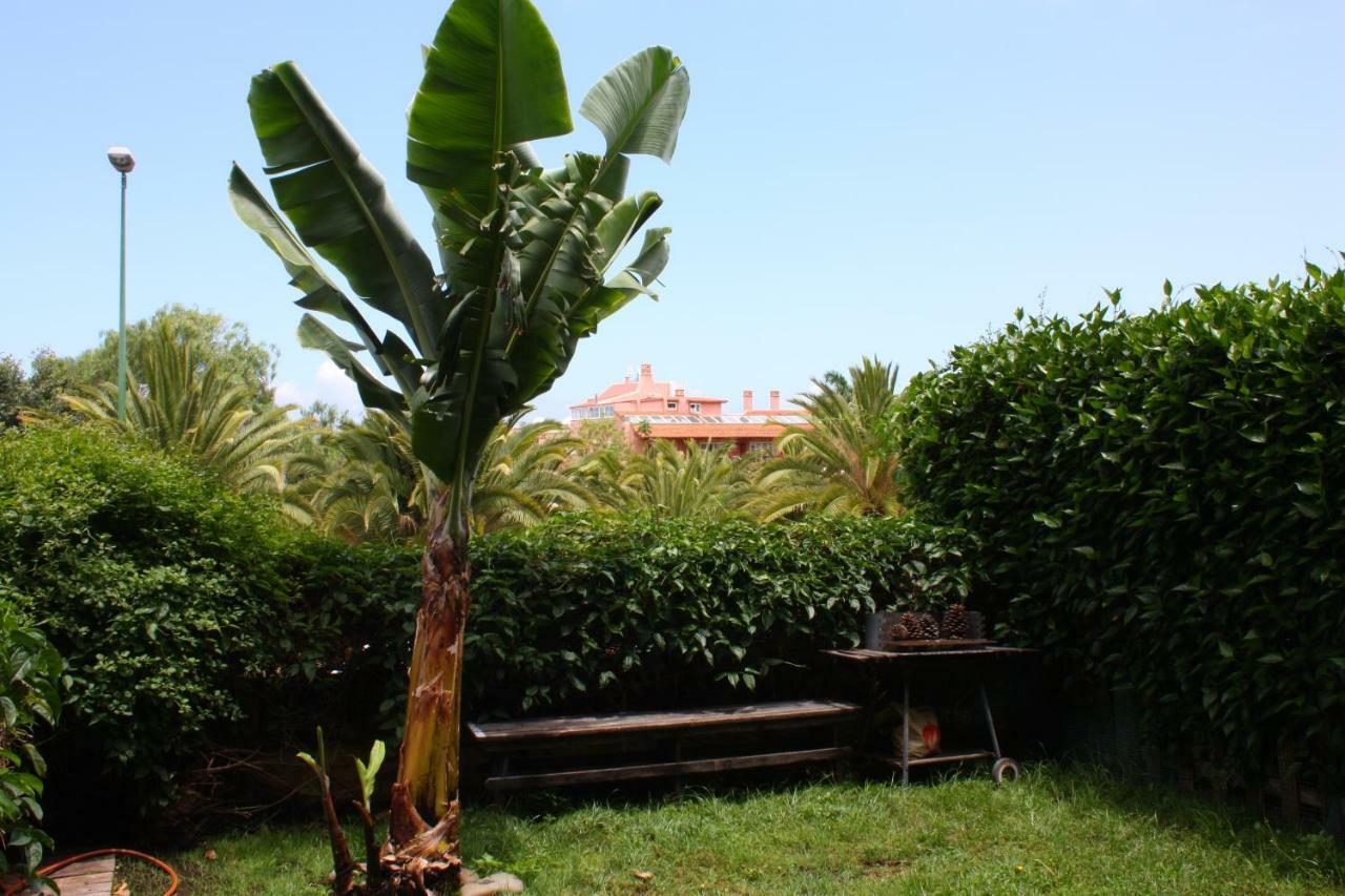 Apartamentos Con Jardin Y Pescina Puerto de la Cruz  Ngoại thất bức ảnh
