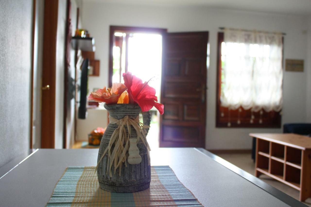 Apartamentos Con Jardin Y Pescina Puerto de la Cruz  Ngoại thất bức ảnh